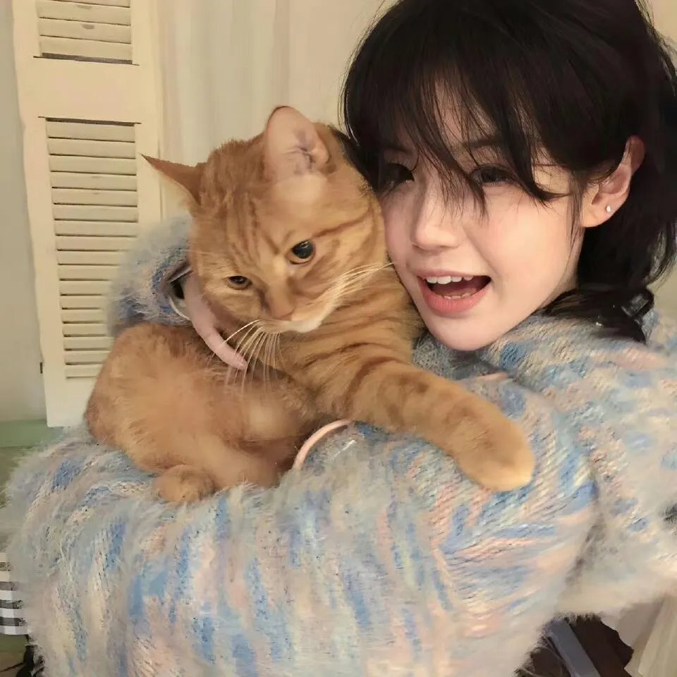 与君长歌 海报